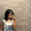 커티즘바이 이미지