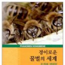 경이의세계 이미지