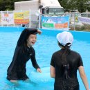 팡팡태권도장 네이버블로그