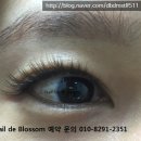 블라썸래쉬