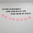 대구강아지분양 도로시펫 이미지