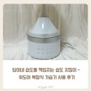 담이네 습도를 책임지는 습도 지킴이 - 위도어 복합식 가습기 사용 후기