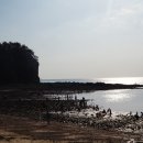 어은돌해수욕장 네이버블로그