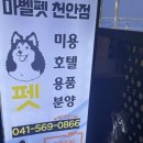 마벨펫 천안점 이미지