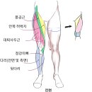 식스팩 피트니스 컴퍼니 이미지