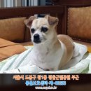 신창초등학교 이미지