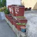 당감2동-1 이미지