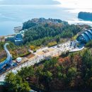 공룡의숨결 이미지