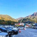 내장산국립공원화장실(제1주차장) 이미지