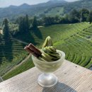 카페 아숨 by 득량 | 보성여행에 카페가 빠질수없죠? 예쁜 보성카페 추천 3개 후기