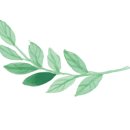 파인넛펜션 이미지