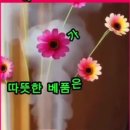 미장원 이미지