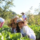 사재산마을 이미지