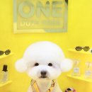 그루밍츄 이미지