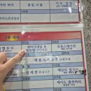 모닝시티2 | 누워서 하는 체형관리, 세종셀포랩유앤미