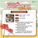 용천사 치유센터 이미지