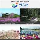 로하스타운 이미지