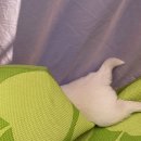 승혜목장 이미지