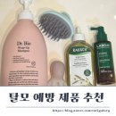 이수연헤어빛채 | 탈모 예방 지루성 두피염 내돈내산 샴푸 헤어브러쉬 헤어앰플