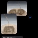 흙.월공방 이미지