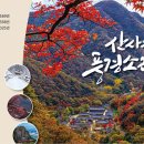 104호 산사의 풍경소리 이미지