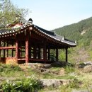 구미정 - 인제군 구미동길 72 | 구미정