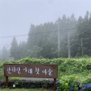 제주 메밀에는 붉은 피가 묻어있다