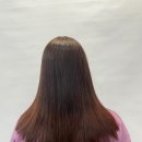 월드컵게임랜드 이미지