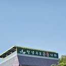 창녕우포곤충나라 이미지