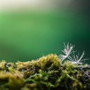 청등농장 이미지