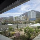 하버 | 거제 지세포카페 '인더스하버' 내돈내산 방문후기