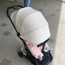 에스스펙 | [상품리뷰] 두 딸 아빠의 찐 후기! 휴대용 유모차 '와이업 지니에스3' 내돈내산 후기