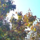 김종길 농장 이미지