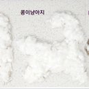 고양이의 산책:묘책 이미지