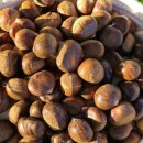 팜네이처스 이미지