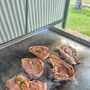 팜로드 | 호주 퍼스 여행 렌트카 로드트립 칼바리 팜 리조트 내돈내산 후기 (위치, 지도, 바베큐, 캥거루 출몰 시간)