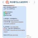 굿나이스투어