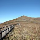 곰배령스케치 이미지