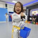 글로벌 파워점핑 줄넘기&태권도 이미지