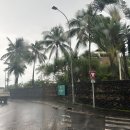 태평양식품 | [타히티/미국 신혼여행] 타히티 본섬 &#34;르 타히티 바이 펄 리조트&#34; 숙박 후기 Le Tahiti by Pearl Resorts