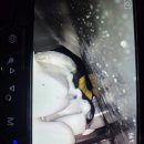 향수크리닝 이미지