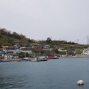 산양초곤리분교 네이버블로그