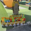 랑 글램핑 이미지