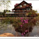 연못이 있는 집 이미지