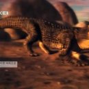 사르코수쿠스 이미지