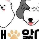 개앓이