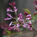 대구시립중앙도서관 이미지