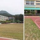 녹동초등학교 이미지