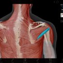 화목한의원 이미지