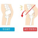 영동헬스클럽 이미지